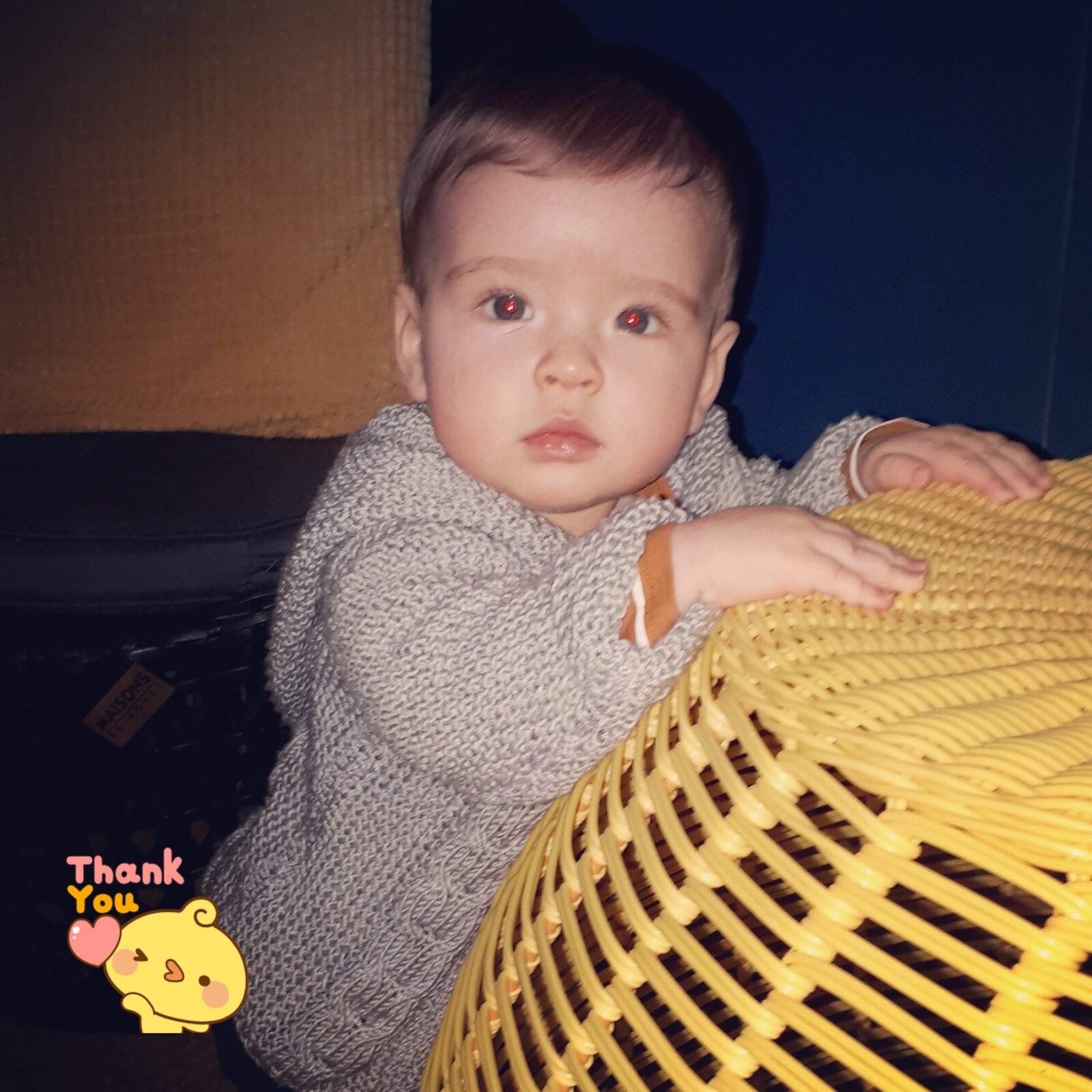 bebe sabrina